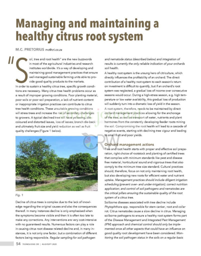 Managing and maintaining a healthy citrus root system