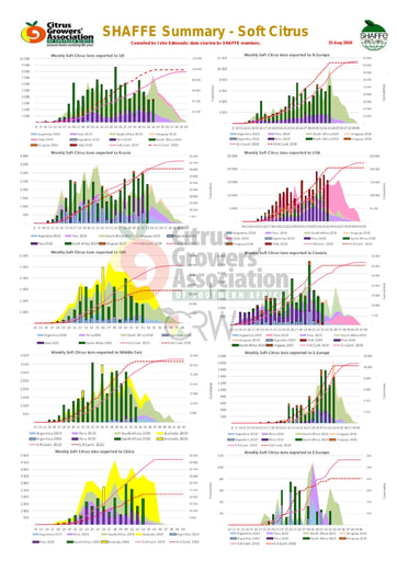 SHAFFE Summary - Soft citrus