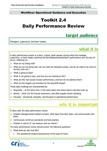 Toolkit 2.4 - Daily Performance Review