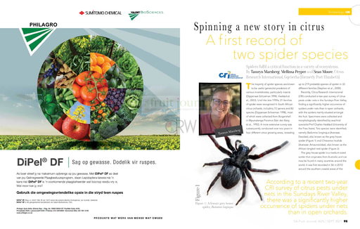 Spinning a new story in citrus