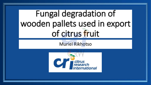 Pallet Fungal Growth