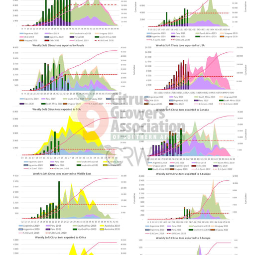 SHAFFE Summary - Soft citrus