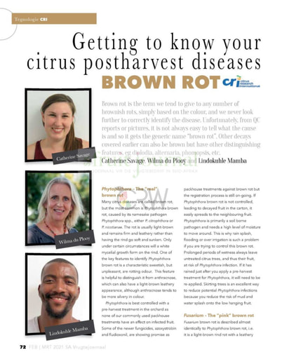 Getting to know your citrus postharvest diseases
