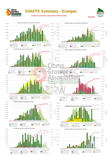 SHAFFE Summary - Oranges