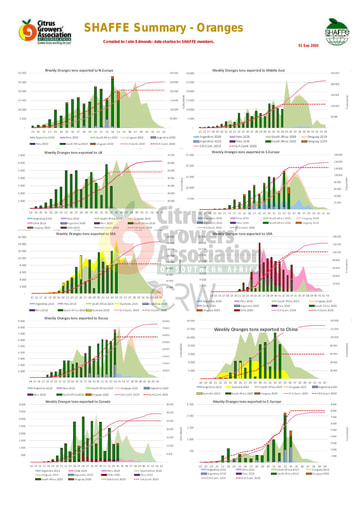 SHAFFE Summary - Oranges