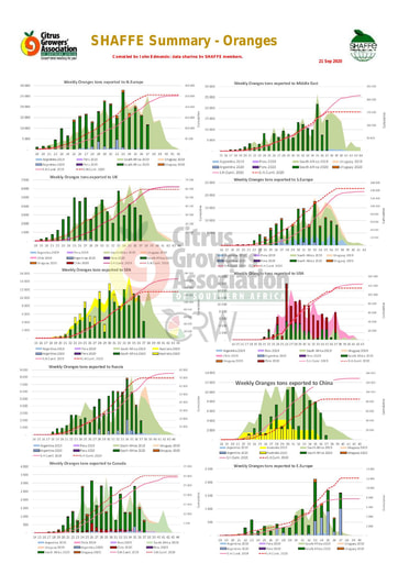 SHAFFE Summary - Oranges