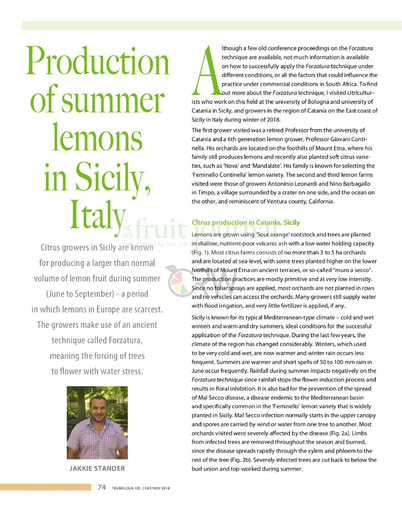 Production of summer lemons in Sicily