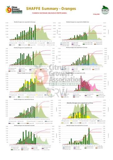 SHAFFE Summary - Oranges