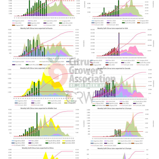 SHAFFE Summary - Soft citrus
