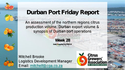 CGA Durban Port Friday Report 28/2019