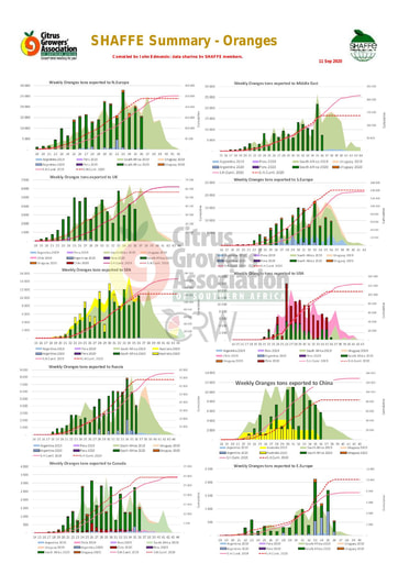 SHAFFE Summary - Oranges