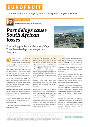 Port delays cause South African losses