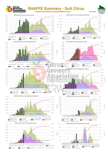 SHAFFE Summary - Soft citrus