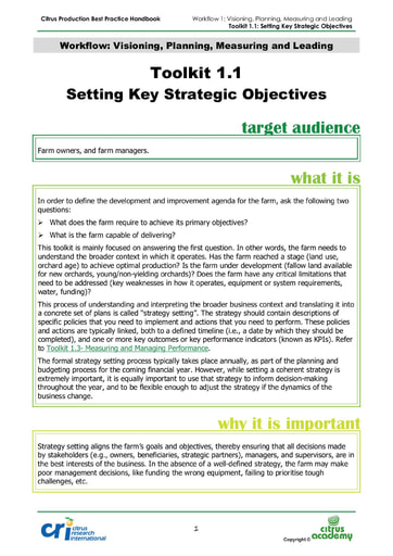 Toolkit 1.1 - Setting Key Strategy Objectives