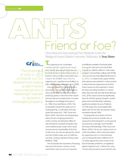 Ants: Friend or foe