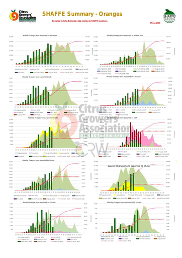 SHAFFE Summary - Oranges