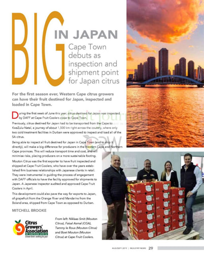 Big in Japan
