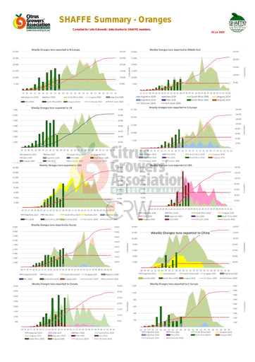 SHAFFE Summary - Oranges