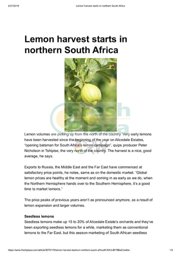 Lemon harvest starts in northern South Africa