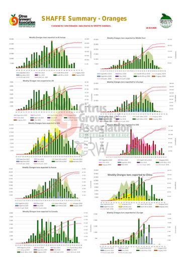 SHAFFE Summary - Oranges