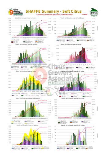 SHAFFE Summary - Soft citrus