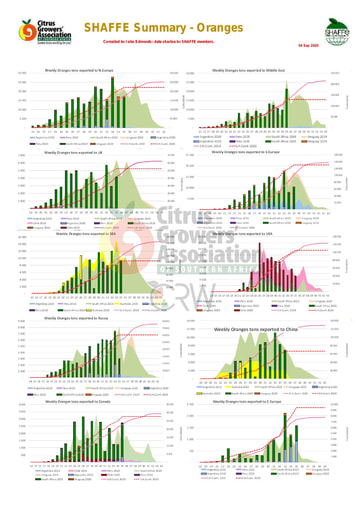 SHAFFE Summary - Oranges