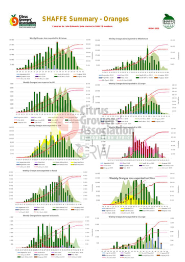 SHAFFE Summary - Oranges