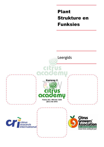Plant Strukture en Funksies Leergids