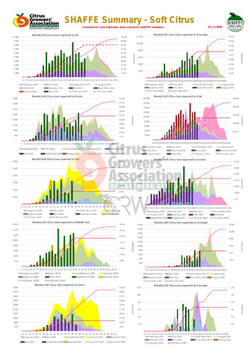 SHAFFE Summary - Soft citrus