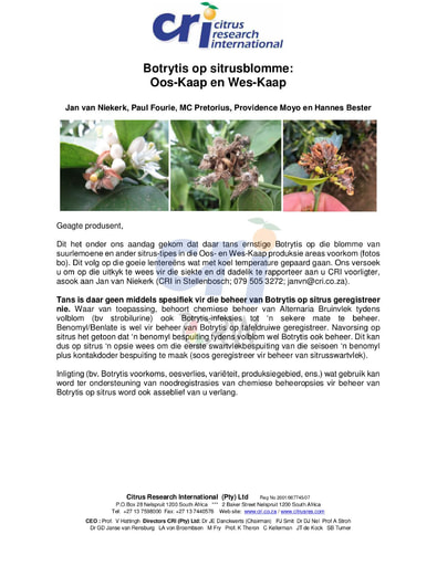 Botrytis op Sitrusblomme