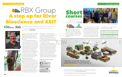 RBX Group