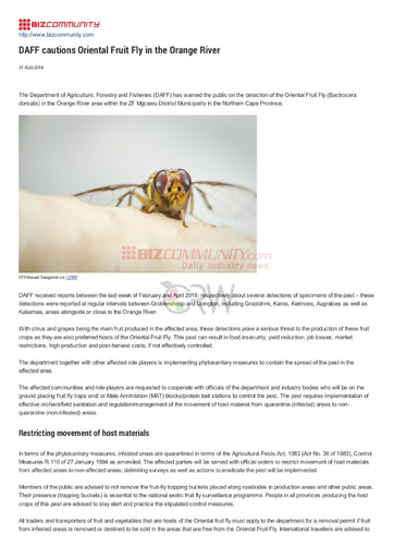 DAFF cautions Oriental Fruit Fly in the Orange River