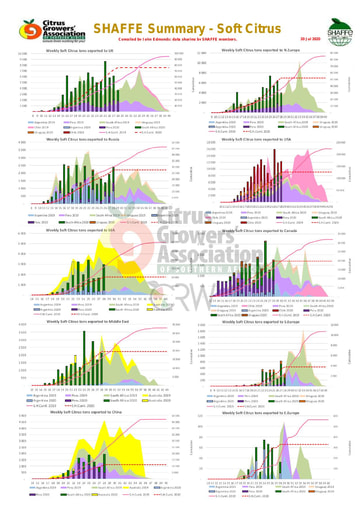SHAFFE Summary - Soft citrus