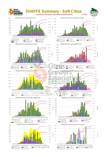 SHAFFE Summary - Soft citrus