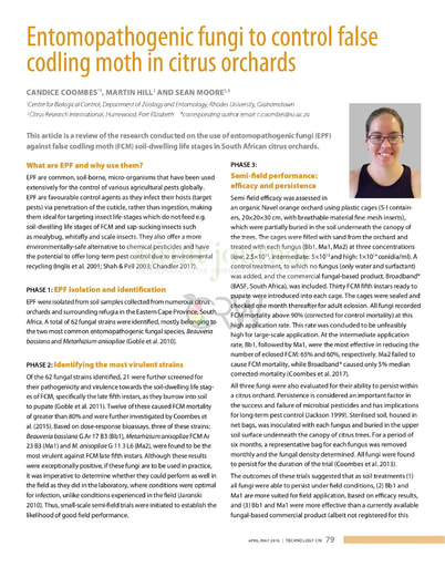 Entomopathogenic Fungi to Control FCM in Citrus Orchards