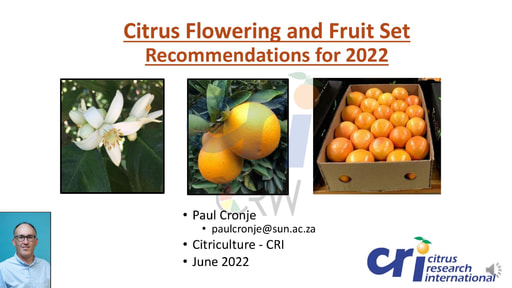 Citrus Flowering and Fruit Set Recommendations for 2022